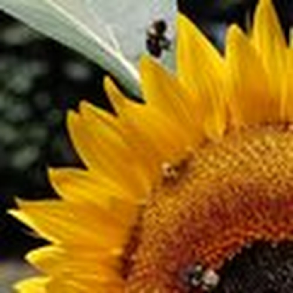 Meet your Posher, Kristina